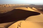 A person walks on the sand dunes in the Tenere Desert, Niger, February 2005. Some scientist warn that the shifting of desert sand dunes could engulf currently productive land turning semiarid areas into desert as precipitation falls and wind speeds increase.