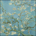 Jeannine Hall Gailey