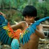 A Barasana youth plays with his pet macaw in San Miguel on the Río Piraparaná. In 1986 Colombian president Virgilio Barco Vargas told Martin von Hildebrand, then Head of Indigenous Affairs, to do something for the Indians. In five extraordinary years Hildebrand secured for the native people of the Colombian Amazon legal title to an area roughly the size of the United Kingdom, land rights that were encoded in the 1991 Political Constitution. In the years that followed, as Colombia endured the ravages of war, a veil of isolation fell upon the Northwest Amazon. And behind this veil a cultural revival took place unlike anything seen in South America.